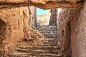 Alles wat je weten wilt - Holidream